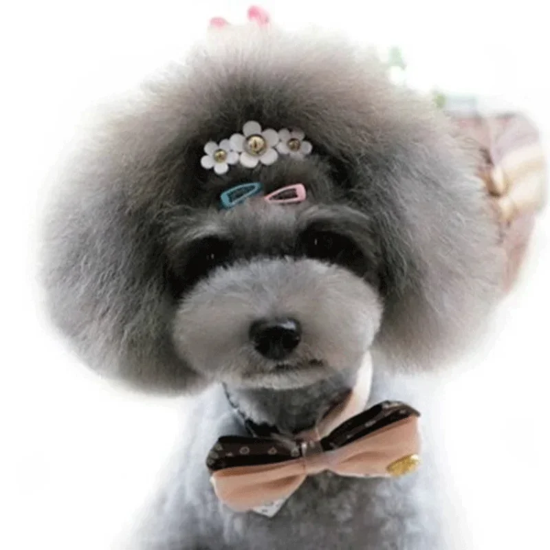5 Stk/set Koreaanse Mini 2Cm K - Vintage Fashion Dolls recensie en prijs